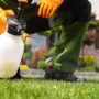 Person spraying weeds in lawn with herbicides