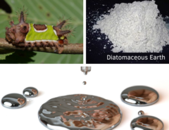 A collage with a saddleback caterpillar, diatomaceous earth, and liquid mercury.